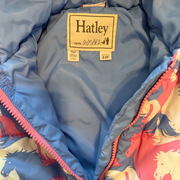 Hatley toddler snowsuit 2-3 years - Picture 2 of 3